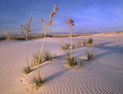 Tim Fitzharris - White Sands National Monument, New Mexico