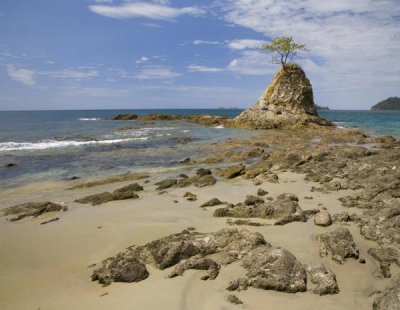 Tim Fitzharris - Point with tree on Penca Beach, Costa Rica