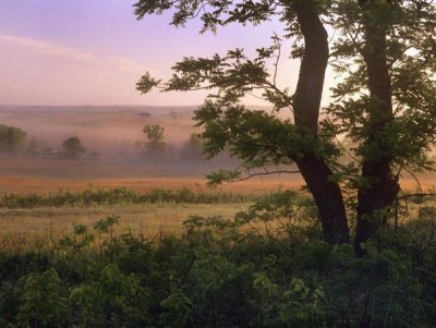 Tim Fitzharris - Tallgrass Prairie National Preserve, Kansas