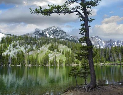 Tim Fitzharris - Pine trees reflected in Fairy Lake, Montana