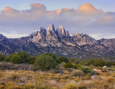 Tim Fitzharris - Organ Mountains, Chihuahuan Desert, New Mexico