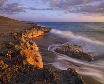 Tim Fitzharris - Beach at dusk, Blowing Rocks Preserve, Florida