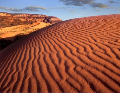 Tim Fitzharris - Sand dunes, Coral Pink Sand Dunes State Park, Utah