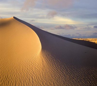 Tim Fitzharris - Sand dune, White Sands National Monument, New Mexico