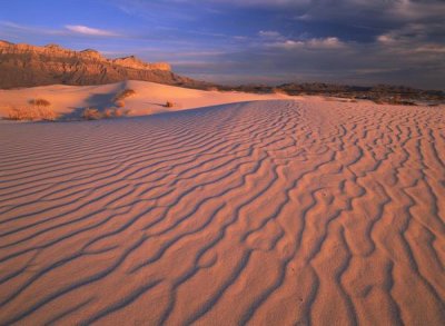 Tim Fitzharris - Gypsum dunes, Guadalupe Mountains National Park, Texas