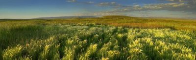 Tim Fitzharris - Grasslands, Arapaho National Wildlife Refuge, Colorado