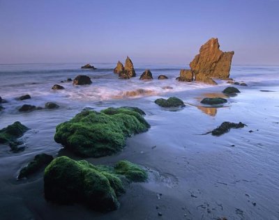 Tim Fitzharris - Seastacks on El Matador State Beach, Malibu, California