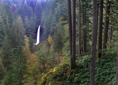 Tim Fitzharris - North Falls, Silver Falls State Park near Salem, Oregon