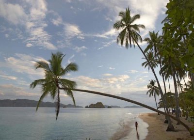 Tim Fitzharris - Tourist walking along beach, Tortuga Island, Costa Rica