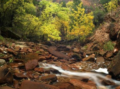 Tim Fitzharris - Zion Canyon near Emerald Pools, Zion National Park, Utah