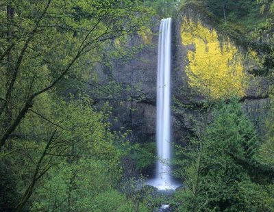 Tim Fitzharris - Latourell Falls, Columbia River Gorge near Portland, Oregon