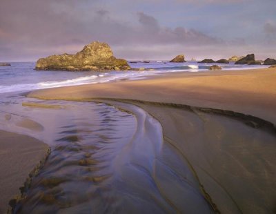 Tim Fitzharris - Creek flowing into ocean at Harris Beach State Park, Oregon