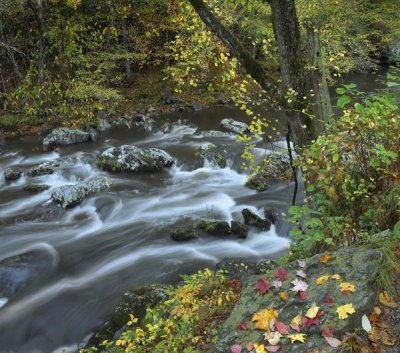 Tim Fitzharris - Little River, Great Smoky Mountains National Park, Tennessee