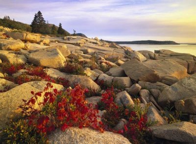 Tim Fitzharris - Atlantic coast near Thunder Hole, Acadia National Park, Maine