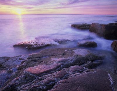 Tim Fitzharris - Atlantic coast near Thunder Hole, Acadia National Park, Maine