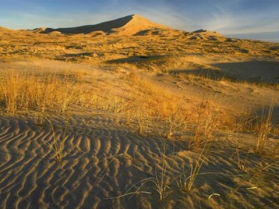 Tim Fitzharris - Kelso Dunes and grasses, Mojave National Preserve, California