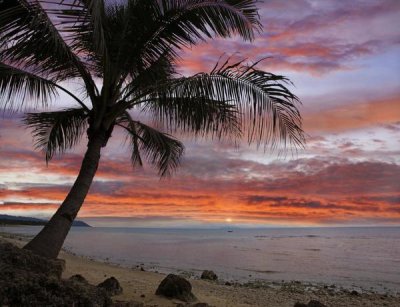 Tim Fitzharris - Coconut Palm at sunset near Dimiao, Bohol Island, Philippines
