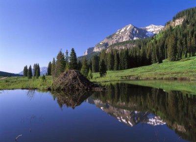 Tim Fitzharris - Gothic Mountain and Beaver Lodge, near Crested Butte, Colorado
