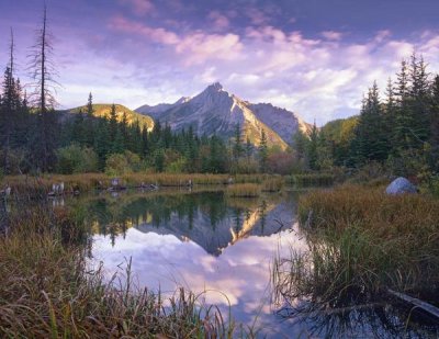 Tim Fitzharris - Mount Lorette and spruce trees reflected in lake, Alberta, Canada