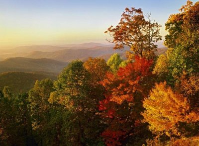 Tim Fitzharris - Blue Ridge Mountains from Bluff Mountain Overlook, North Carolina