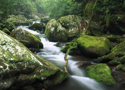 Tim Fitzharris - Roaring fork river, Great Smoky Mountains National Park, Tennessee