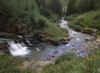 Tim Fitzharris - La Plata River, La Plata Canyon, San Juan National Forest, Colorado