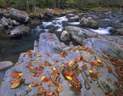 Tim Fitzharris - Little Pigeon River, Great Smoky Mountains National Park, Tennessee
