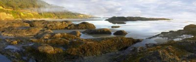 Tim Fitzharris - Panorama of Neptune Beach with exposed tide pools at low tide, Oregon