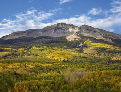 Tim Fitzharris - Aspen forest and East Beckwith Mountain, West Elk Wilderness, Colorado