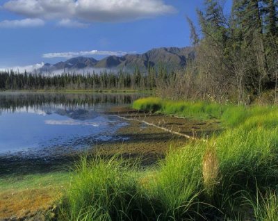 Tim Fitzharris - Nutzotin Mountains and boreal forest reflected in receding lake, Alaska