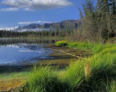 Tim Fitzharris - Nutzotin Mountains and boreal forest reflected in receding lake, Alaska