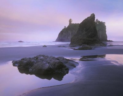 Tim Fitzharris - Ruby Beach with seastacks and boulders, Olympic National Park, Washington