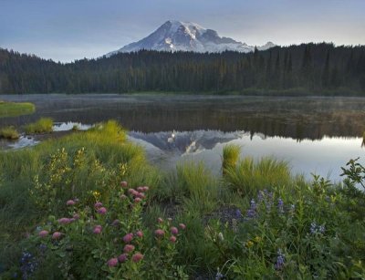 Tim Fitzharris - Mount Rainier and Reflection Lake, Mount Rainier National Park, Washington