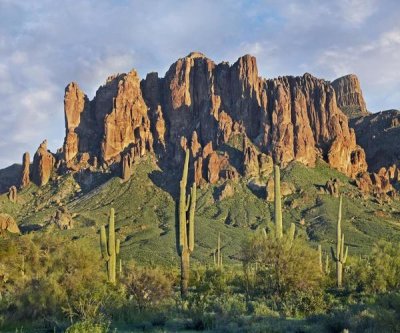 Tim Fitzharris - Saguaro cacti and Superstition Mountains, Lost Dutchman State Park, Arizona