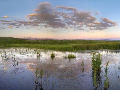 Tim Fitzharris - Reflection of clouds in the water, Arapaho National Wildlife Refuge, Colorado