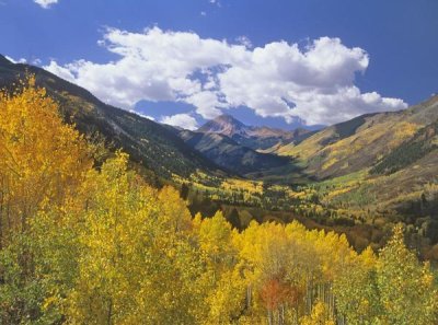 Tim Fitzharris - Haystack Mountain with aspen forest, Maroon Bells-Snowmass Wilderness, Colorado