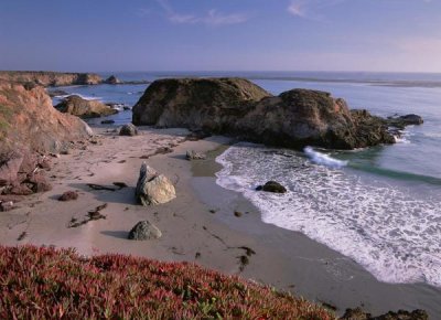 Tim Fitzharris - Beach near San Simeon Creek with ice plant in the foreground, Big Sur, California