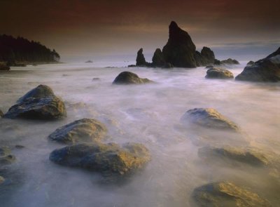 Tim Fitzharris - Sea stack and rocks along shoreline at Ruby Beach, Olympic National Park, Washington
