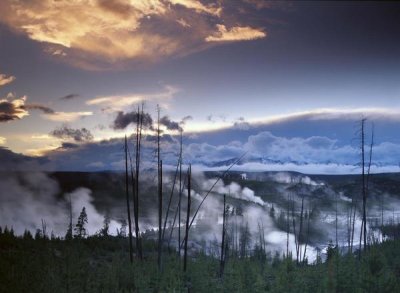 Tim Fitzharris - Norris Geyser basin with steam plumes from geysers, Yellowstone National Park, Wyoming