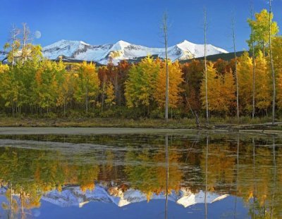 Tim Fitzharris - Full moon over East Beckwith Mountain rising above fall colored Aspen forests, Colorado