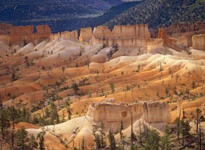 Tim Fitzharris - Landscape of eroded formations called hoodoos and fins, Bryce Canyon National Park, Utah