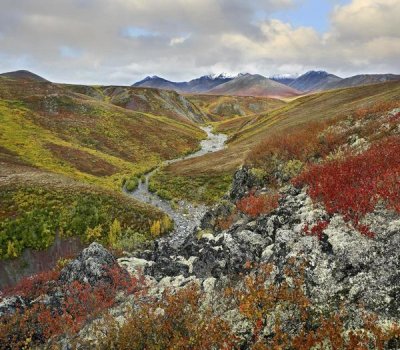 Tim Fitzharris - River flowing through tundra, Ogilvie Mountains, Tombstone Territorial Park, Yukon, Canada