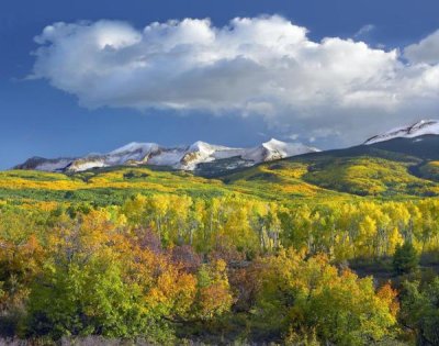 Tim Fitzharris - East Beckwith Mountain flanked by fall colored Aspen forests under cumulus clouds, Colorado