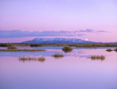 Tim Fitzharris - Full moon rising over Sangre de Cristo Mountain Range, Alamosa National Wildlife Refuge, Colorado