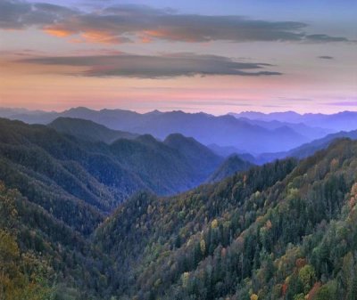 Tim Fitzharris - Deciduous forest covering mountains, Newfound Gap, Great Smoky Mountains National Park, North Carolina