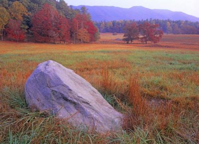 Tim Fitzharris - Boulder and autumn colored deciduous forest, Cades Cove, Great Smoky Mountains National Park, Tennessee