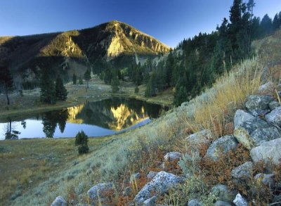 Tim Fitzharris - Bunsen Peak, an ancient volcano cone, reflected in lake, near Mammoth, Yellowstone National Park, Wyoming