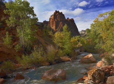 Tim Fitzharris - Mt Spry at 5,823 foot elevation with the Virgin River surrounded by Cottonwood trees, Zion National Park, Utah