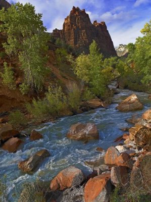 Tim Fitzharris - Mt Spry at 5,823 foot elevation with the Virgin River surrounded by Cottonwood trees, Zion National Park, Utah