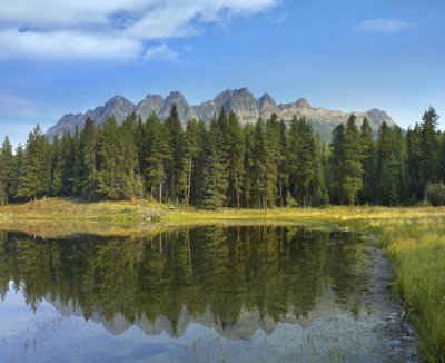 Tim Fitzharris - Yellowhead Mountain and Yellowhead Lake with boreal forest, Mount Robson Provinvial Park, British Columbia, Canada